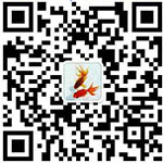余启红律师微信